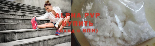 бошки Бородино