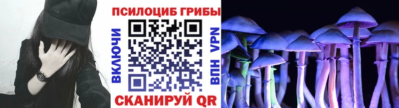 Псилоцибиновые грибы Magic Shrooms  Бутурлиновка 
