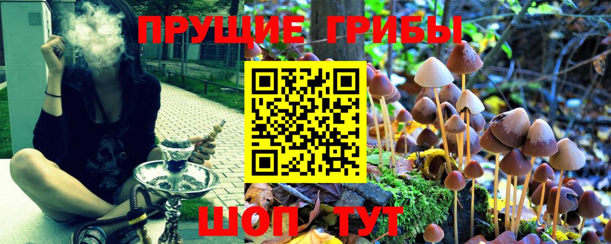 сколько стоит  Вход с VPN  Галлюциногенные грибы мухоморы  Бутурлиновка  Галлюциногенные грибы ЛСД 